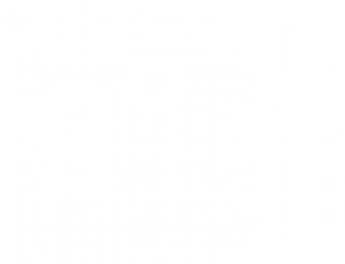 mgo360