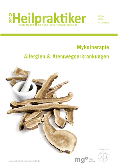 Das Titelbild von Der Heilpraktiker zeigt eine Mörserschüssel und Pilze.